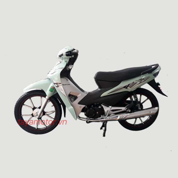 Xe máy 50cc WS50 2022(vành đúc) - TAYA MOTOR